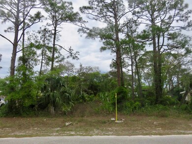 Mature trees