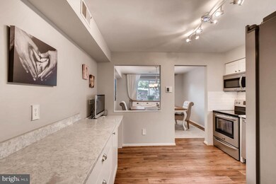 1 Mullingar Ct unit 102, Lutherville Timonium, MD 21093 - photo 3