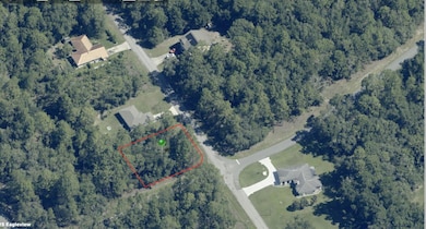 9524 N Sherman Dr, Citrus Springs, FL 34434 - photo 2