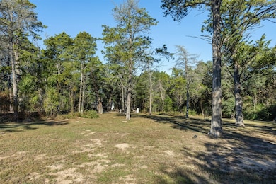 1045 Old New Ulm Rd, New Ulm, TX 78950 - photo 4