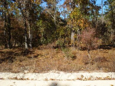 0 Crawfordville Ave, Crawfordville, FL 32327 - photo 4