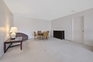 Imperial Towers unit 505, Chestnut Hill, MA 02467 - photo 4