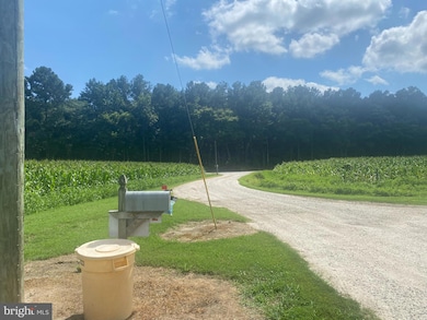 30560 Charles Barnes Rd, Westover, MD 21871 - photo 3