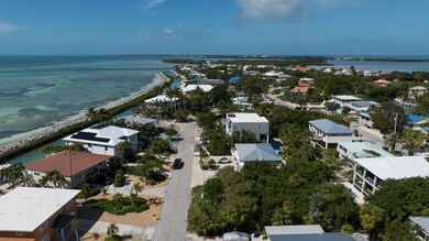 DJI_20240305111109_0041_D