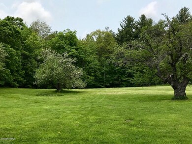 117 Colrain Stage Rd, Charlemont, MA 01346 - photo 4