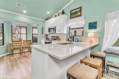 121 Cimarron Dr unit 121, Asheville, NC 28803 - photo 5