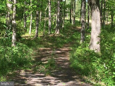 0 Swan Woods Rd unit 1003762273, Rhoadesville, VA 22542 - photo 2