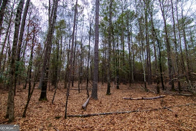 0 Salem Rd unit 10453687, Pine Mountain, GA 31822 - photo 7