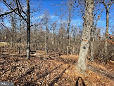 0 Sweitzer Rd unit PABK2026312, Mohnton, PA 17540 - photo 5