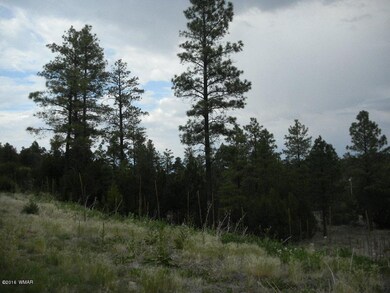 Sawmill pic 3