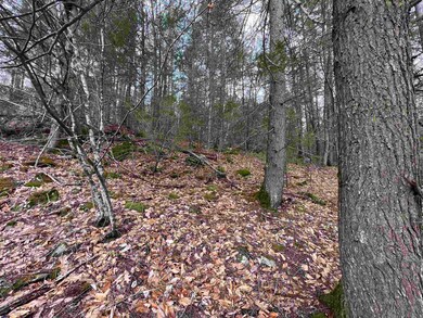 000 Grady Ln unit Lot 7, Hinsdale, NH 03451 - photo 2