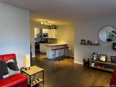 235 S Buckhout St unit 235, Irvington, NY 10533 - photo 7