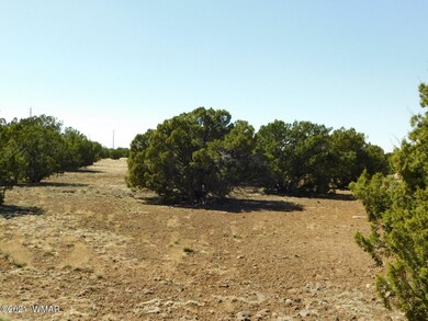 Sequoia Place Show Low, AZ, 85901