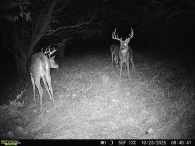 1 Co Rd, Larned, KS 67550 - photo 6