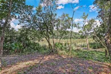 Lower Back Yard to Marsh View
