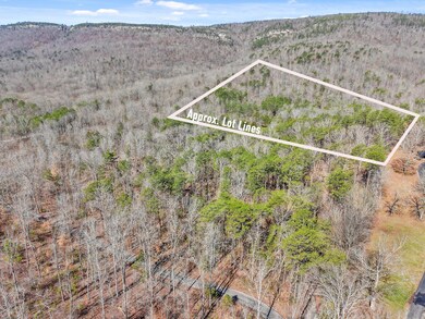 03-DJI_20250317112800_0314_D