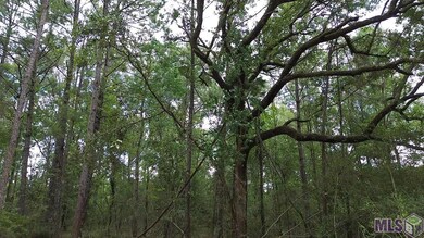 Tract C Whiskey Ln unit C, Tickfaw, LA 70466 - photo 7