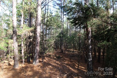 Lot 1 6+/-AC Bookout Rd, Rock Hill, SC 29730 - photo 7