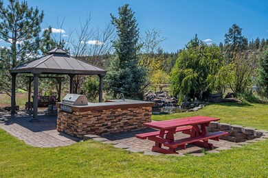 Back Yard Paradise.