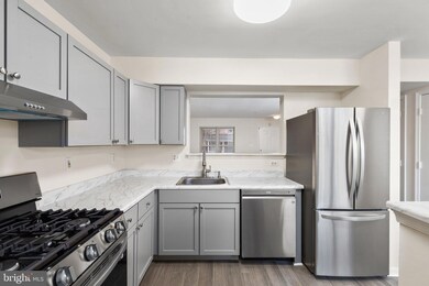 706 W Cherry Blossom Way, Baltimore, MD 21201 - photo 4