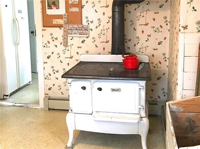 Functional cook/woodstove for...