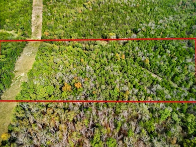 Tbd Tall Timbers Trail, Gainesville, MO 65655 - photo 2