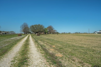 4288 Farm To Market 1652, Grand Saline, TX 75140 - photo 4