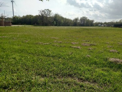0 County Road 158 Mustang Rd, Alvin, TX 77511 - photo 7