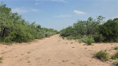 View of local wilderness