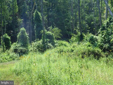 3269 Black Oak Rd, Warfordsburg, PA 17267 - photo 5