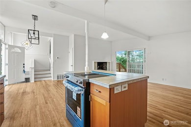 1060 149th Place SE, Bellevue, WA 98007 - photo 6