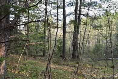 Maine Large House Lot for Sale in...