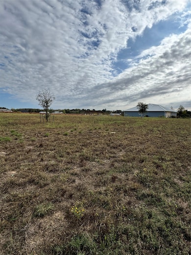 TBD 0, McDade, TX 78650 - photo 4