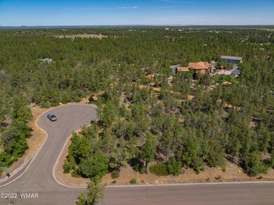 1680 S Twin Peak Trail, Show Low, AZ 85901 - photo 4
