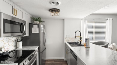 1380 Ski View Dr unit 1106, Gatlinburg, TN 37738 - photo 7