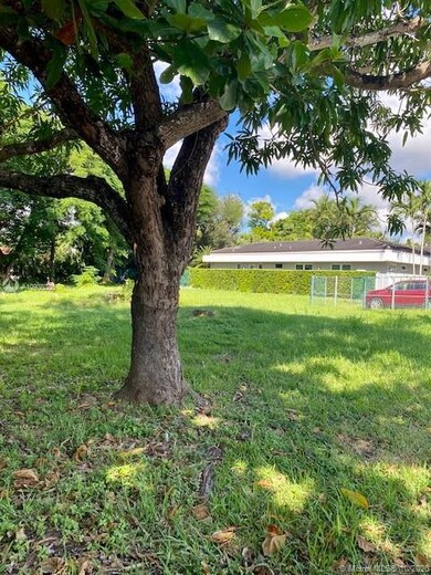 South view of the lot