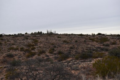 unlisted-address, Cornville, AZ 86325 - photo 4