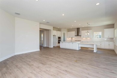 11232 Rustic Timber Loop, Zephyrhills, FL 33545 - photo 7