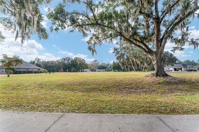 TBD NE 49th St, Williston, FL 32696 - photo 5