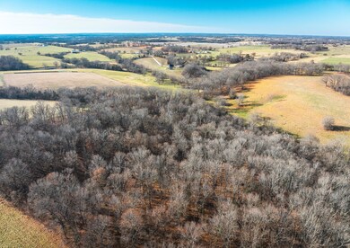 DJI_20241219091256_0011_D