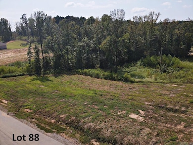 133 Shepherd Loop Dr, Arkadelphia, AR 71923 - photo 4