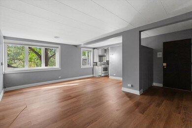 River Forest Garden Condominium unit 2SW, River Forest, IL 60305 - photo 7