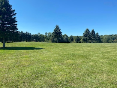 0 Albion Rd, Concord, MI 49237 - photo 6