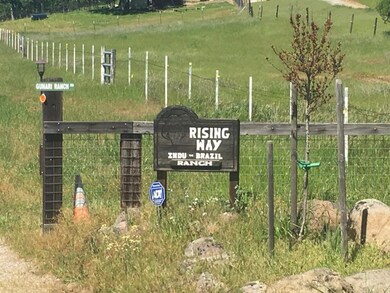 fence