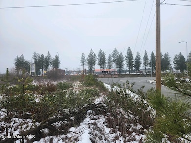 NNA N Sylvan Ln, Athol, ID 83801 - photo 2