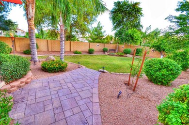 West half of the backyard - play area