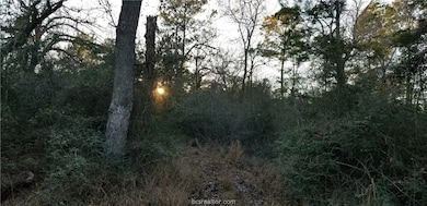 25571 Kimbro Rd, Hockley, TX 77447 - photo 6