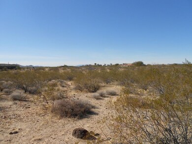 22410 W El Grande Trail unit 41, Wickenburg, AZ 85390 - photo 4