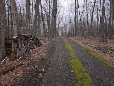 599 Ostrander Rd, Windsor, NY 13865 - photo 4