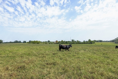 Tract 4 Rolke Ranch Rd, Franklin, TX 77856 - photo 4